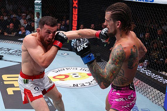 Merab Dvalishvili (left) trades punches with Sean O'Malley at UFC 316, the fight he finished with a north-south choke