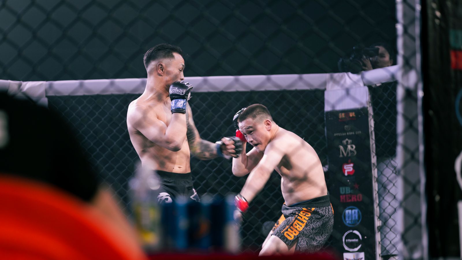 A fighter pressuring an opponent against the cage, the pressure Holloway applies for five rounds