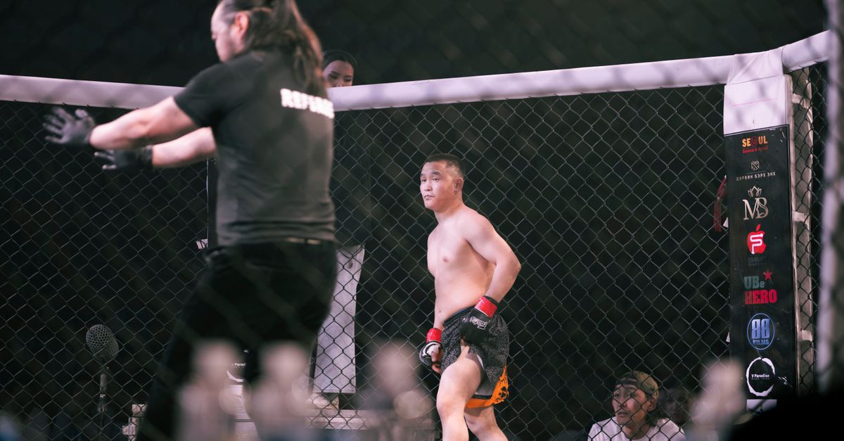 MMA cage fight submission grappling
