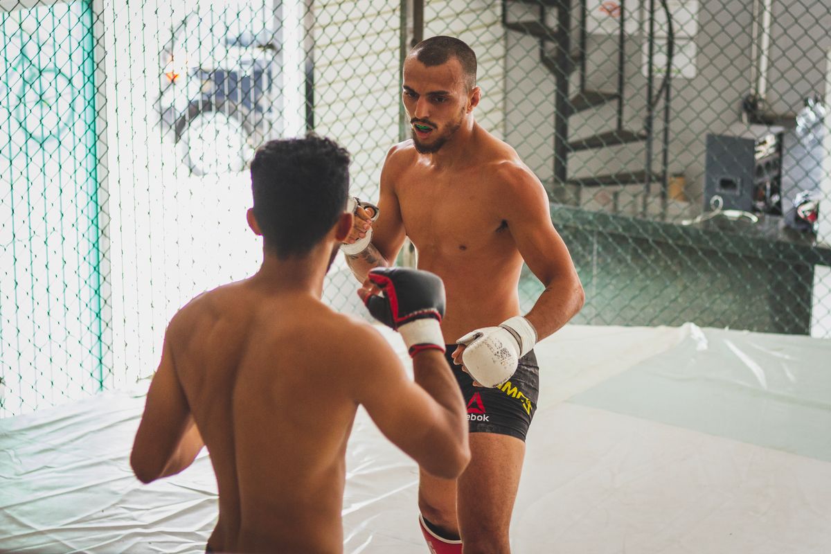 MMA fighters training in a cage