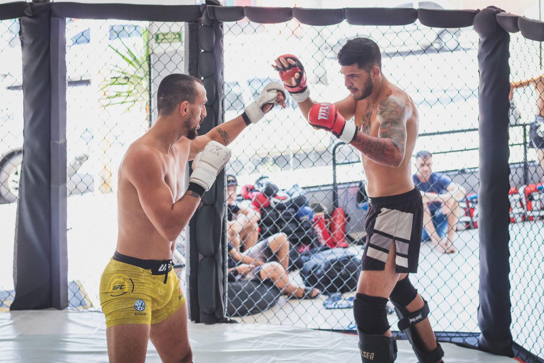 MMA sparring cage training