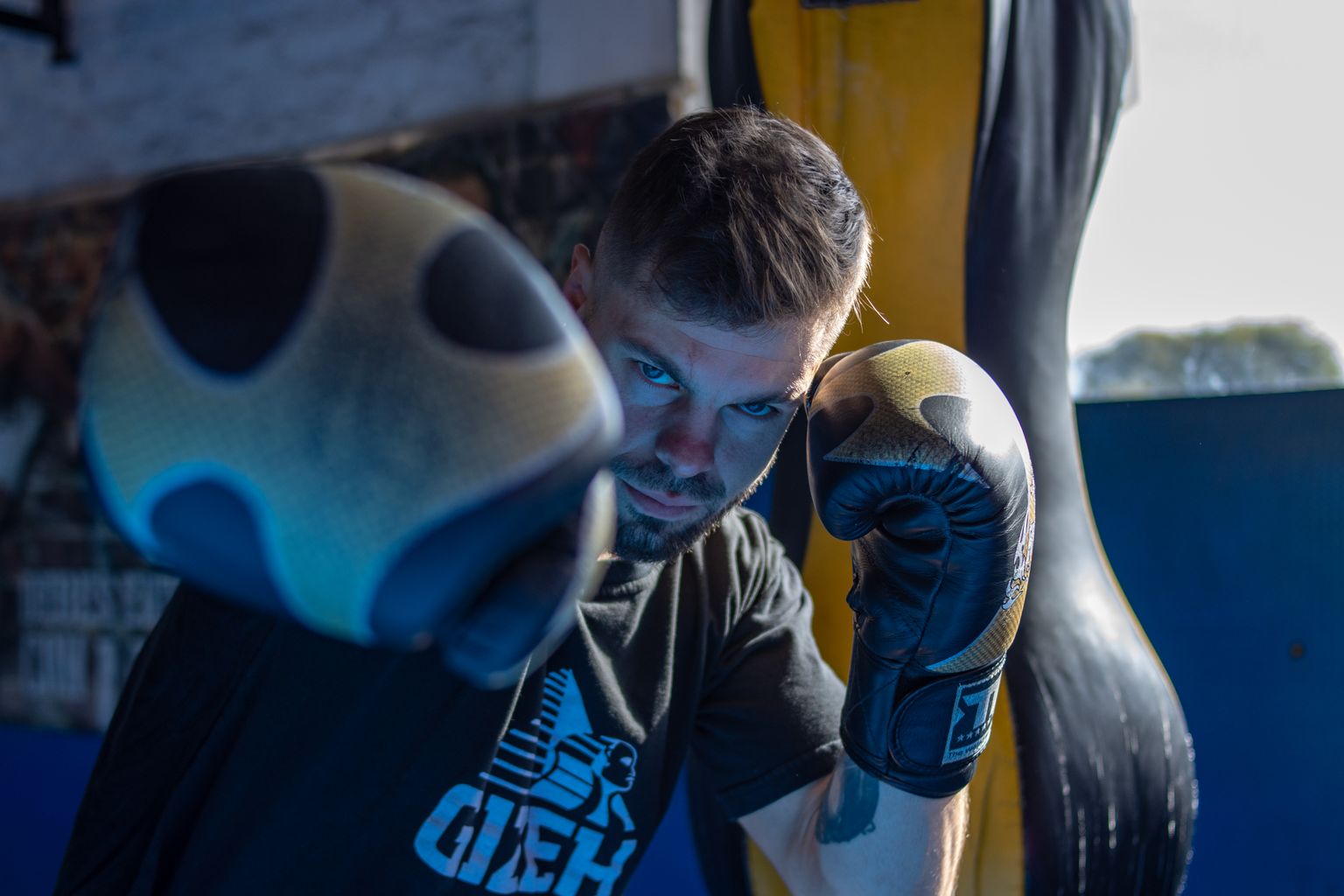 Boxer training with focus mitts