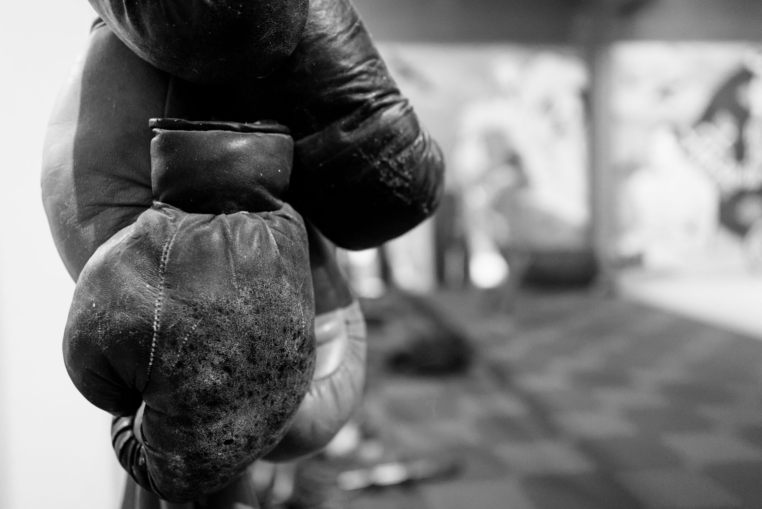 Referee inspecting a fighter's gloves before a combat sports bout
