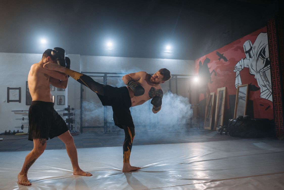 MMA fighter blocking a kick during a bout - UFC Paris style