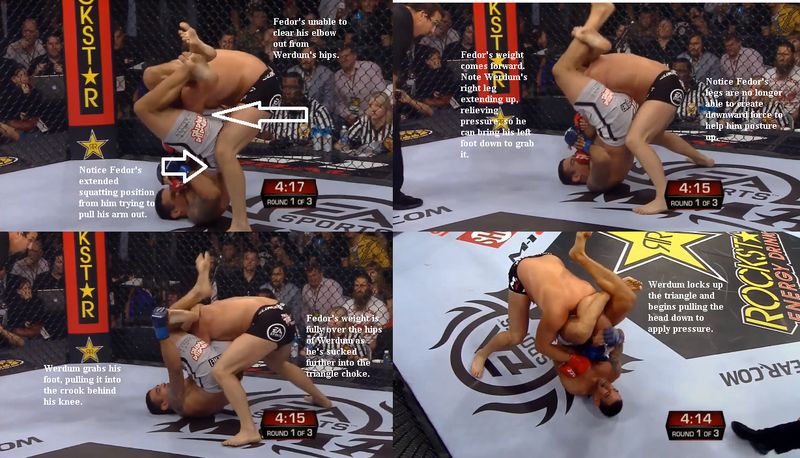 Sequence breakdown of Werdum's triangle choke setup and finish against Fedor